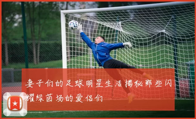 妻子们的足球明星生活揭秘那些闪耀绿茵场的爱侣们
