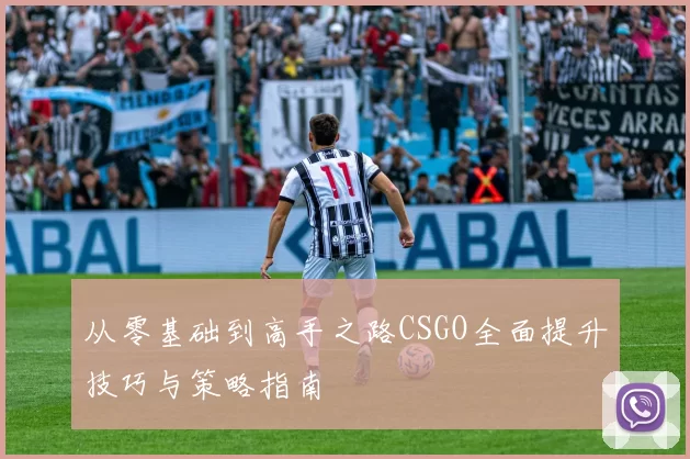 从零基础到高手之路CSGO全面提升技巧与策略指南