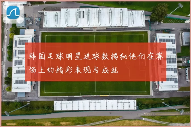 韩国足球明星进球数揭秘他们在赛场上的精彩表现与成就