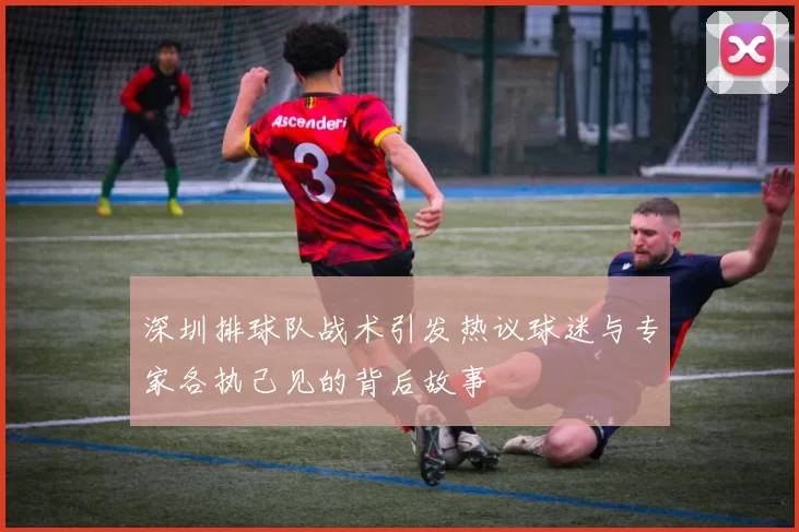 深圳排球队战术引发热议球迷与专家各执己见的背后故事