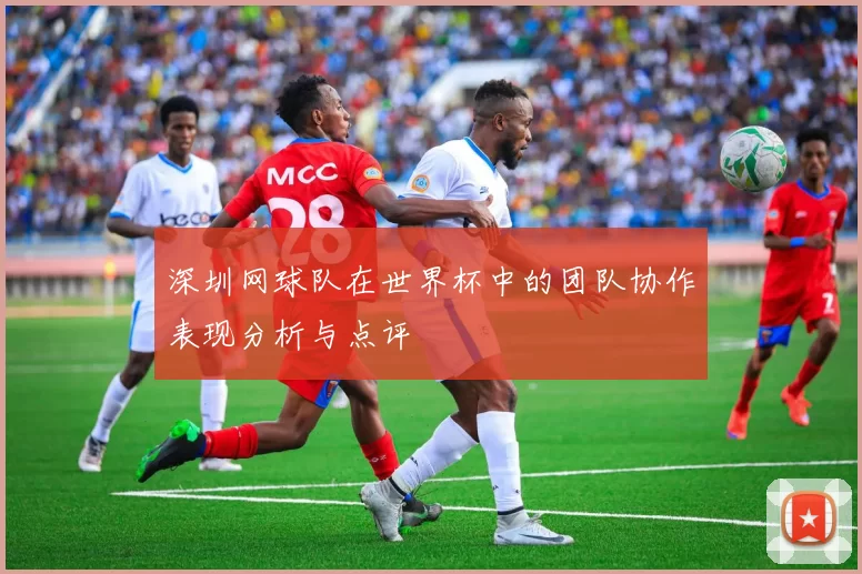 深圳网球队在世界杯中的团队协作表现分析与点评