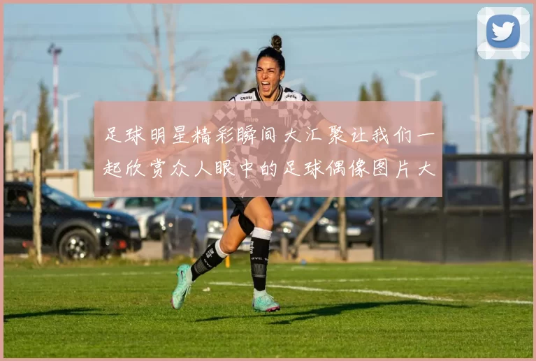 足球明星精彩瞬间大汇聚让我们一起欣赏众人眼中的足球偶像图片大全