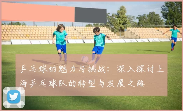 乒乓球的魅力与挑战：深入探讨上海乒乓球队的转型与发展之路
