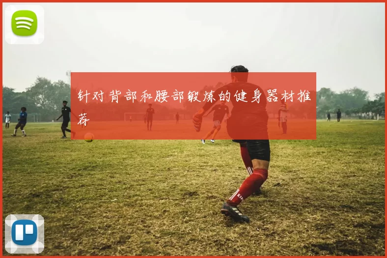 针对背部和腰部锻炼的健身器材推荐