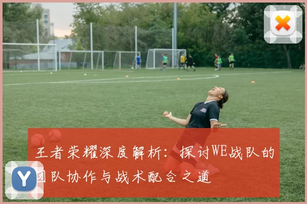 王者荣耀深度解析：探讨WE战队的团队协作与战术配合之道