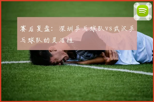 赛后复盘：深圳乒乓球队vs武汉乒乓球队的灵活性