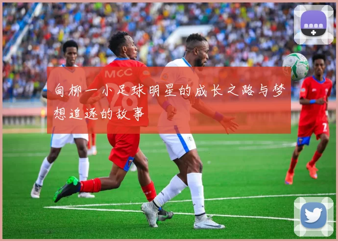 甸柳一小足球明星的成长之路与梦想追逐的故事