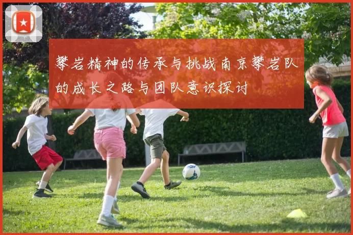 攀岩精神的传承与挑战南京攀岩队的成长之路与团队意识探讨