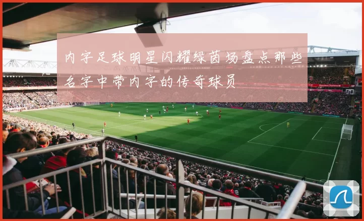 内字足球明星闪耀绿茵场盘点那些名字中带内字的传奇球员