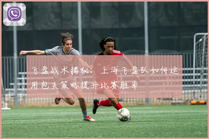 飞盘战术揭秘：上海飞盘队如何运用包夹策略提升比赛胜率